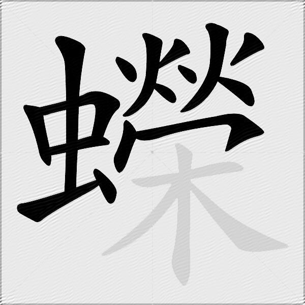 蠑