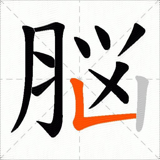 脳