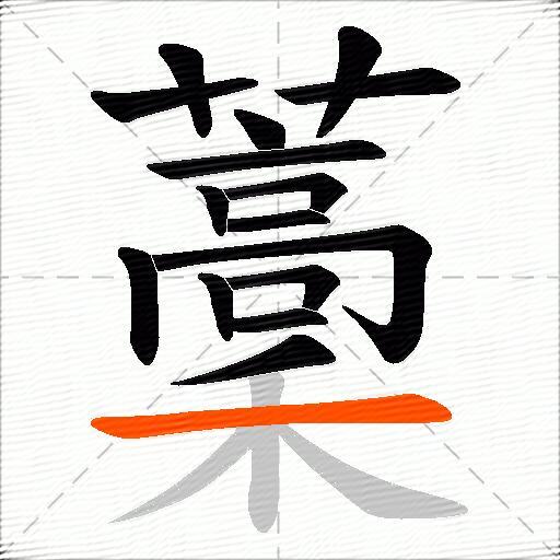 藳
