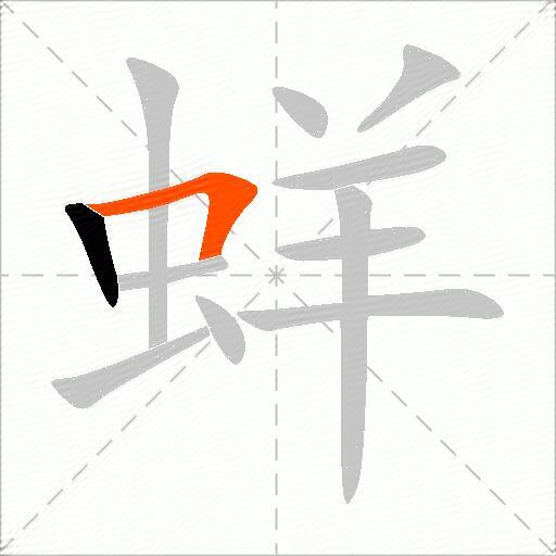 蛘
