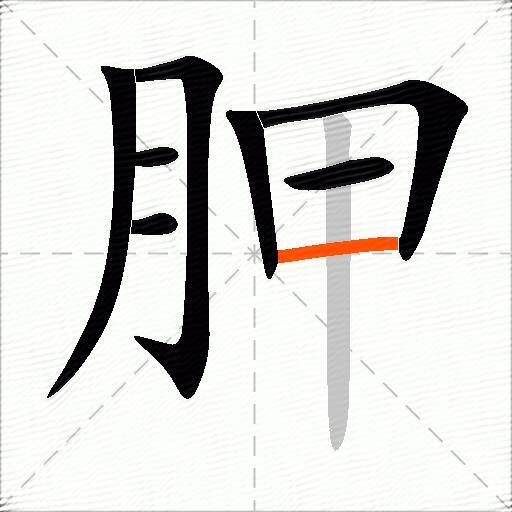胛