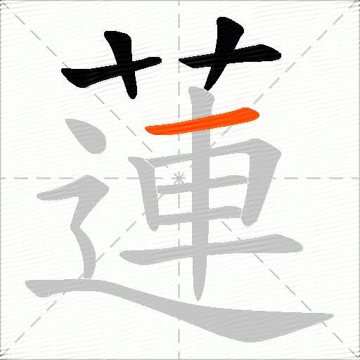 蓮