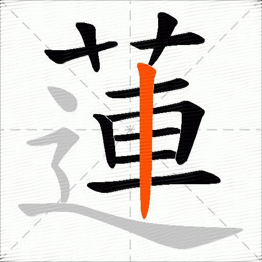 蓮