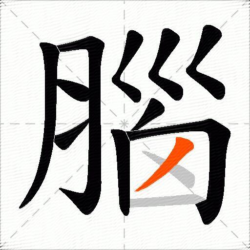 腦
