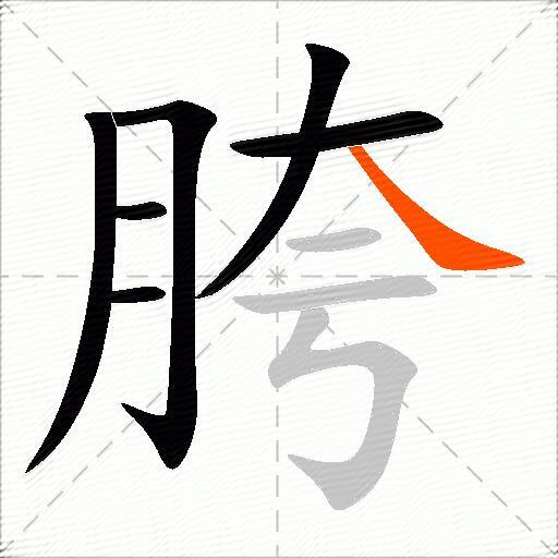 胯