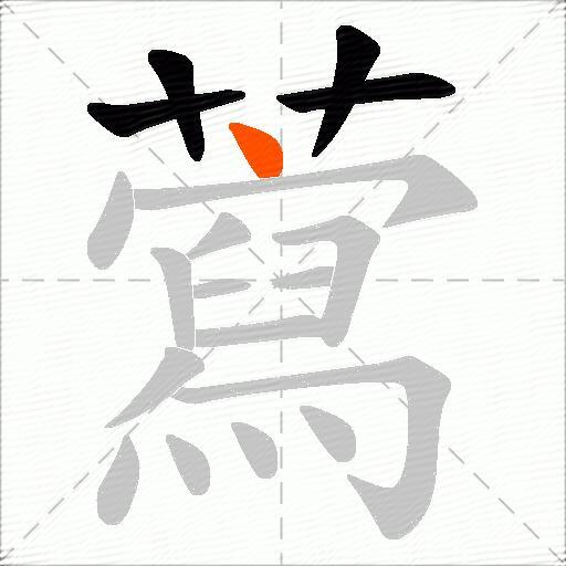 藛