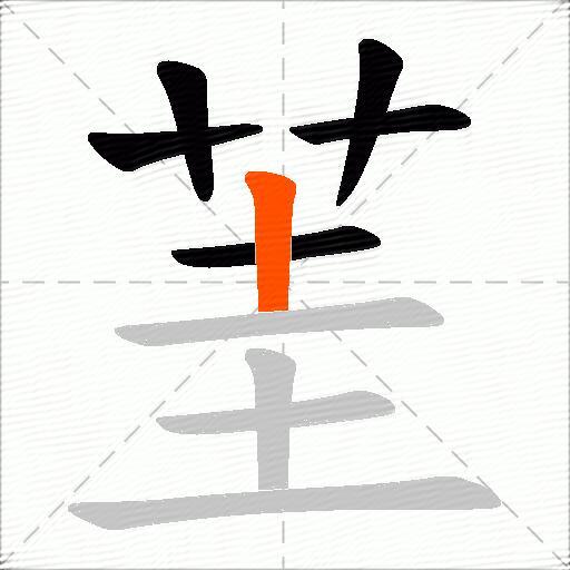 茥