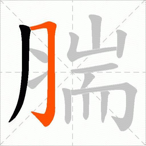 腨