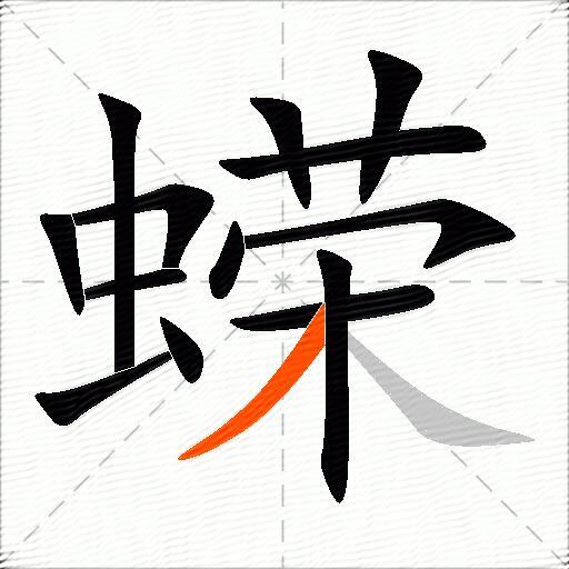 蝾