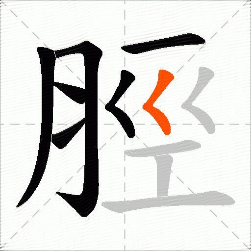 脛