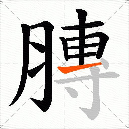 膞