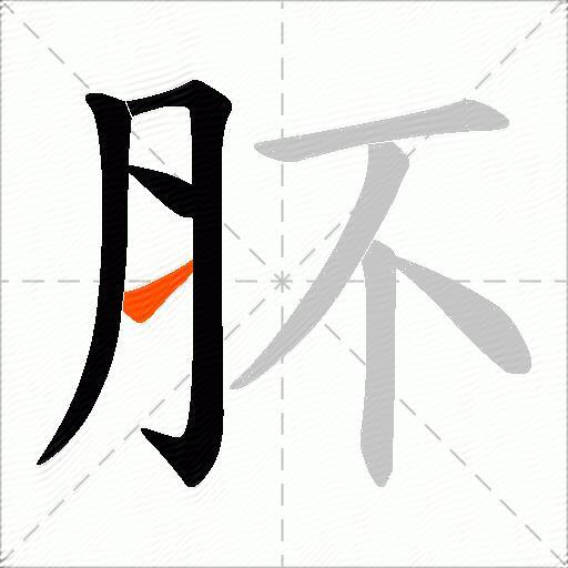 肧