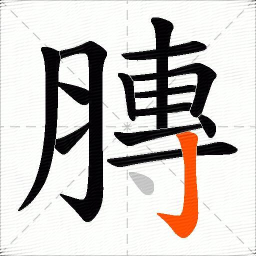 膞