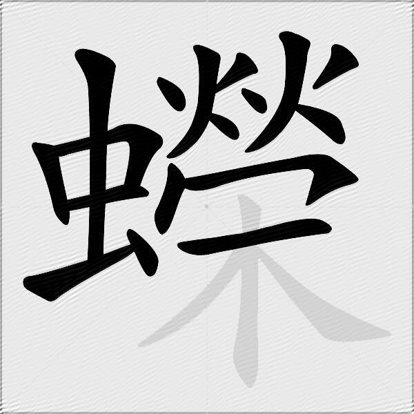 蠑