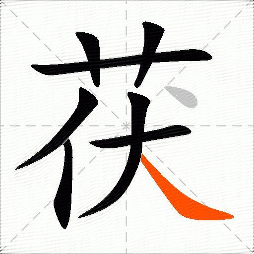 茯