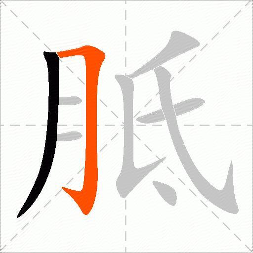 胝