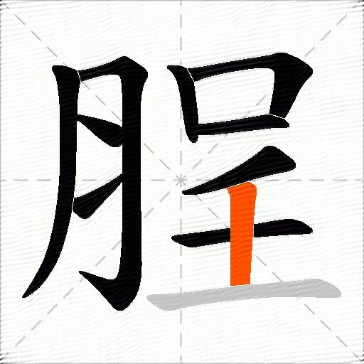 脭