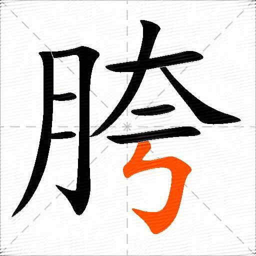 胯