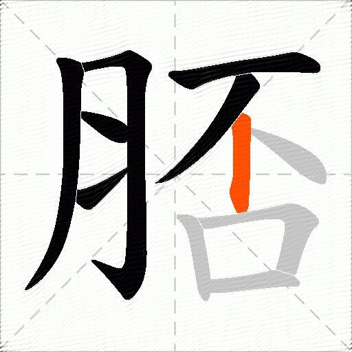 脴