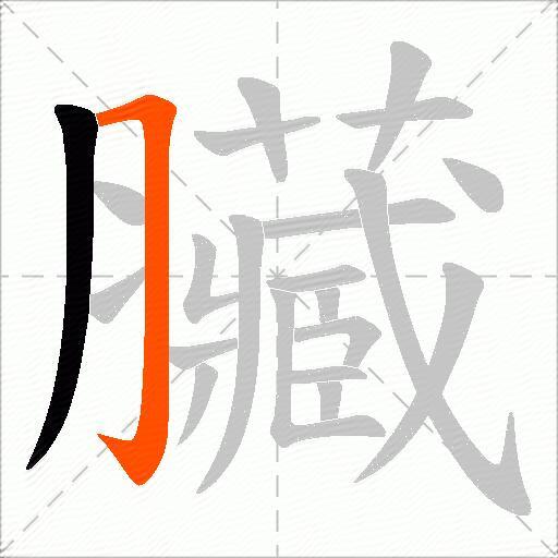 臟
