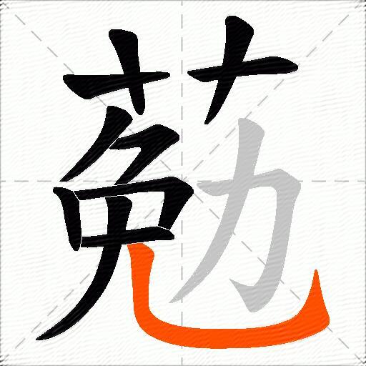 葂