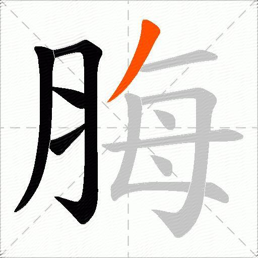 脢