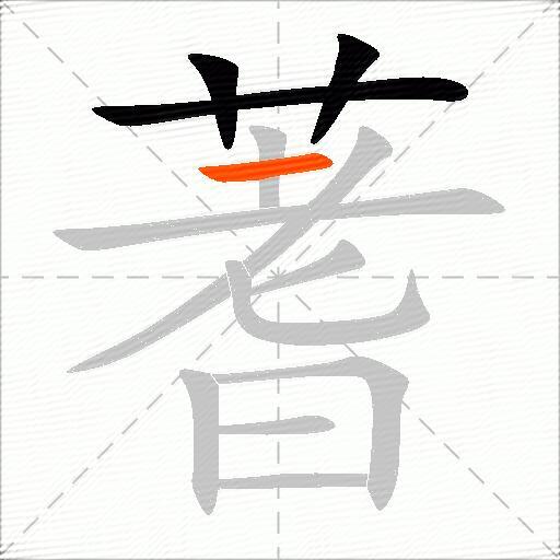 蓍