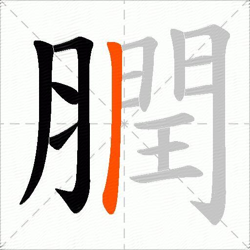 膶