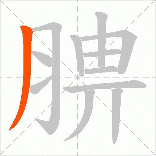 腗