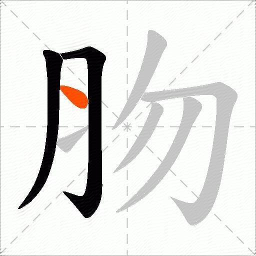 肳
