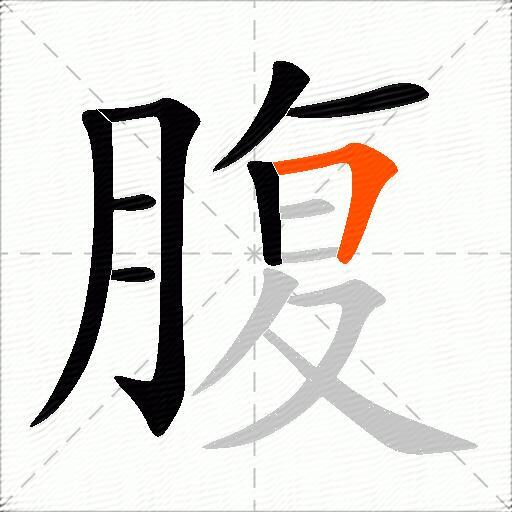 腹