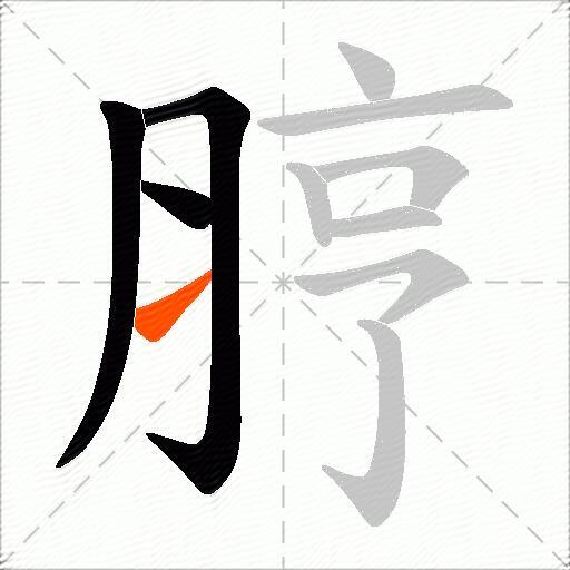 脝