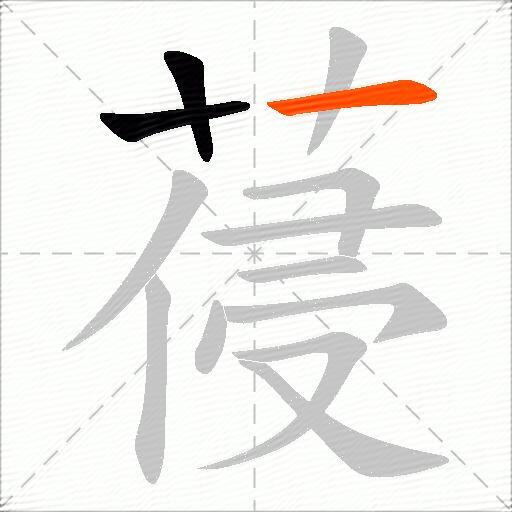 葠