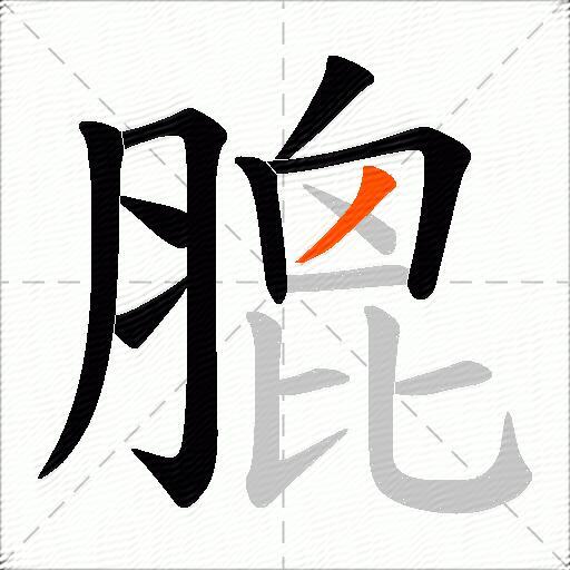 膍