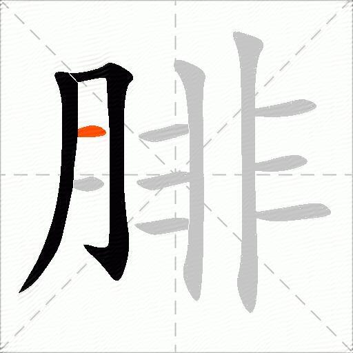 腓