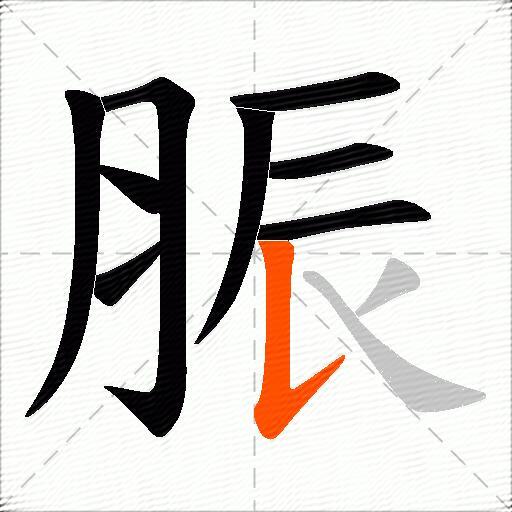 脤