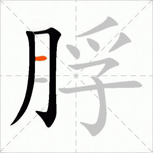 脬