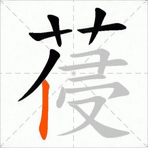 葠