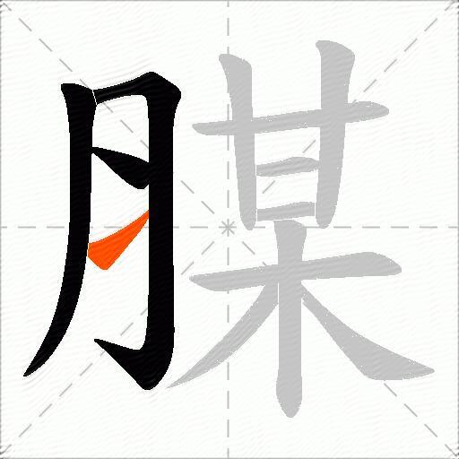 腜