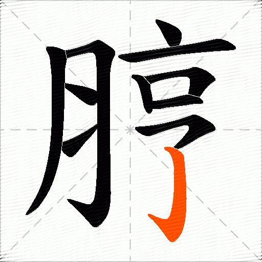 脝