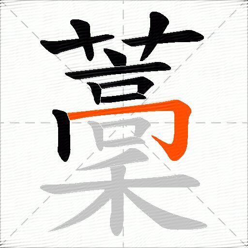 藳