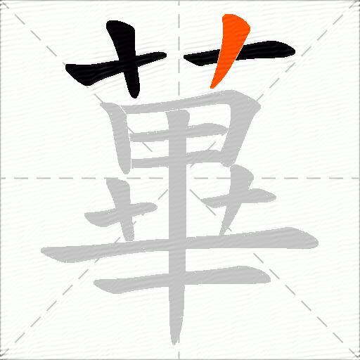 蓽