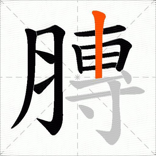 膞