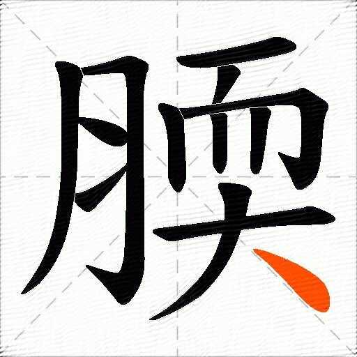 腝