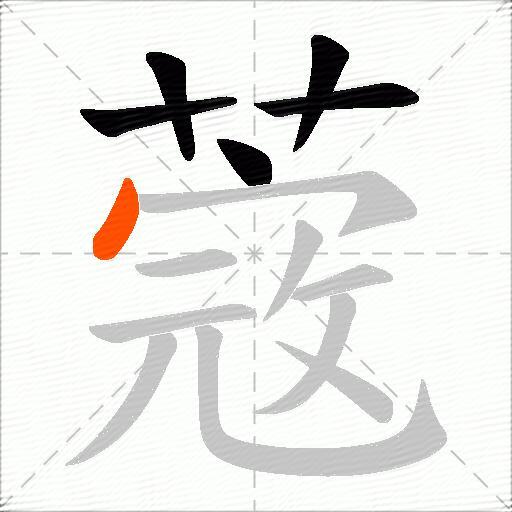 蔲