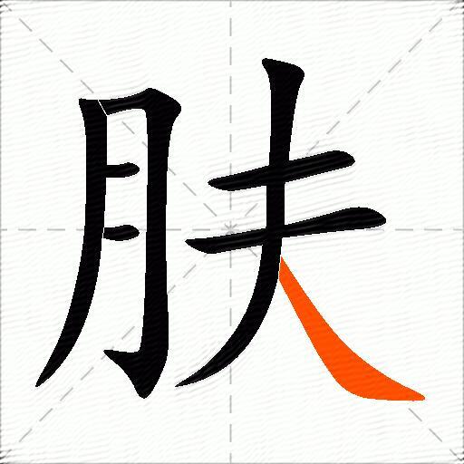 肤