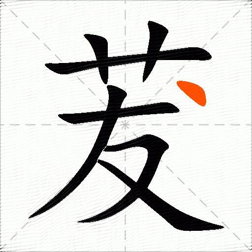 茇