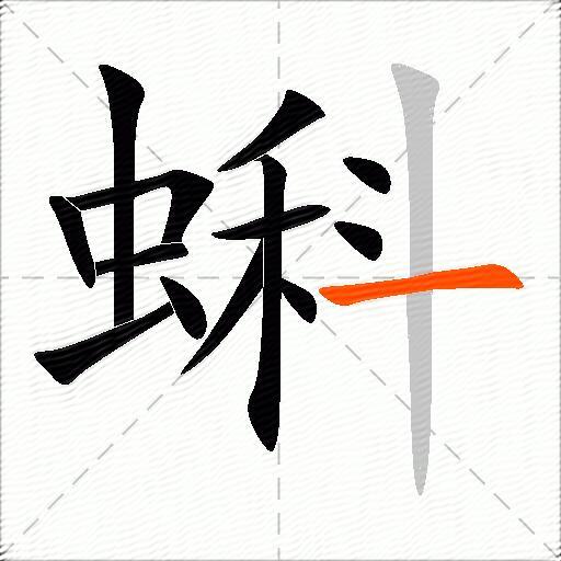 蝌
