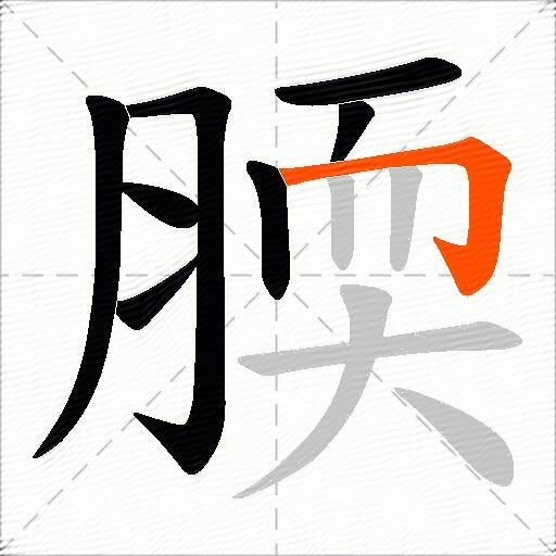 腝