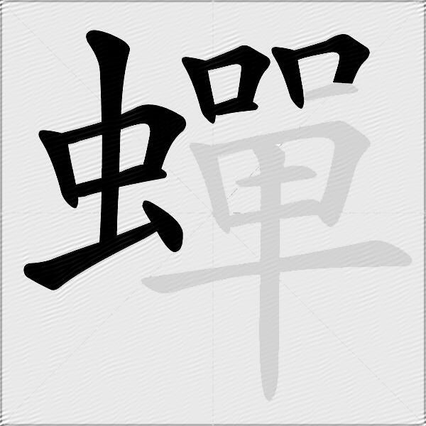 蟬